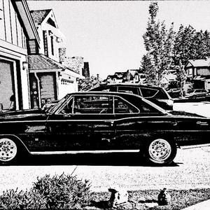 Meet your Posher, Dianne